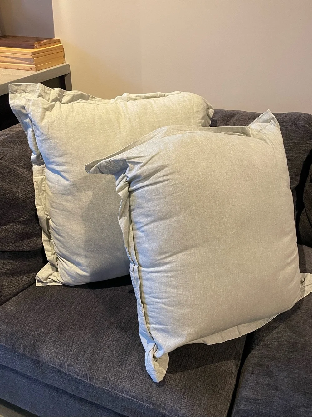 Threshold Light Green Chambray Euro Decorative Linen Throw Pillows - Set of 2